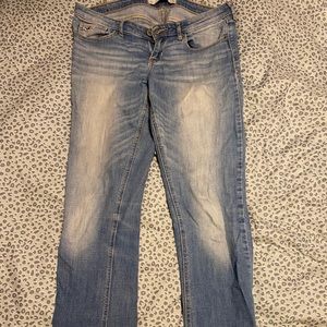 Hollister bootcut jeans